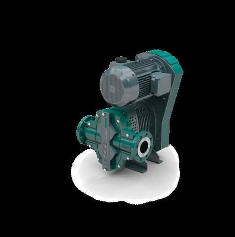 Netzsch NETZSCH NEMO Progressing Cavity Pump – Photo (Netzsch datasheet S. 7)