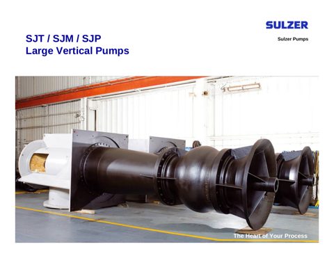 Sulzer SJT – Drawing (Sulzer datasheet S. 1)