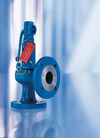 LESER Type 431 / 433 | LESER - The Safety Valve – Photo (LESER datasheet S. 1)