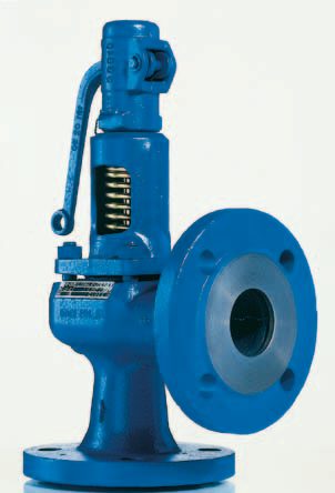 LESER Type 431 / 433 | LESER - The Safety Valve – Photo (LESER datasheet S. 7)