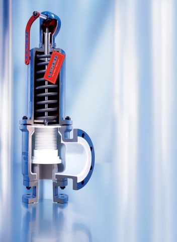 LESER GmbH Type 449 | LESER - The Safety Valve – Photo (LESER GmbH datasheet S. 1)