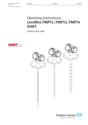 Endress+Hauser Levelflex FMP51 – Drawing (a2e8b83ea135_S1-166 S. 1)