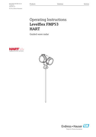 Endress+Hauser BA01002F – Drawing (1a9869c0990b_S1-1 S. 1)
