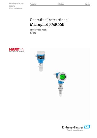 Endress+Hauser BA02250F – Drawing (bfd1817a7b8c_S1-1 S. 1)