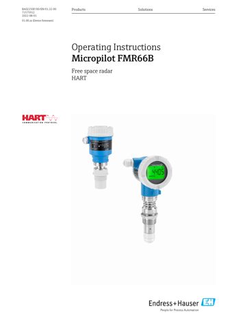 Endress+Hauser BA02250F – Drawing (6cc2499c2686_S1-1 S. 1)