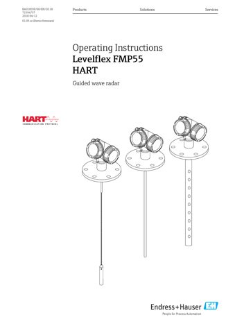 Endress+Hauser BA01003F – Drawing (fc78ed4bad50_S1-1 S. 1)