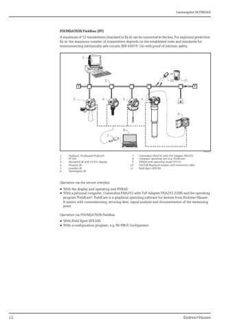 Endress+Hauser FMG60 – Page preview (9ea5e1d499b7_S4-43 S. 9)