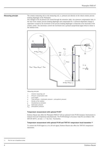 Endress+Hauser FMX167 – Page preview (bf72b483b53a_S1-23 S. 4)