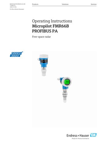 Endress+Hauser BA02264F – Rysunek (0599fdf7746b_S1-1 S. 1)