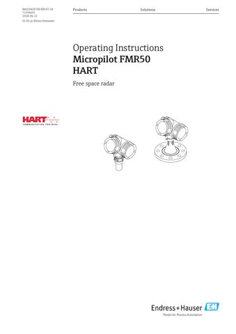 Endress+Hauser BA01045F – Drawing (91737169b3f0_S1-1 S. 1)