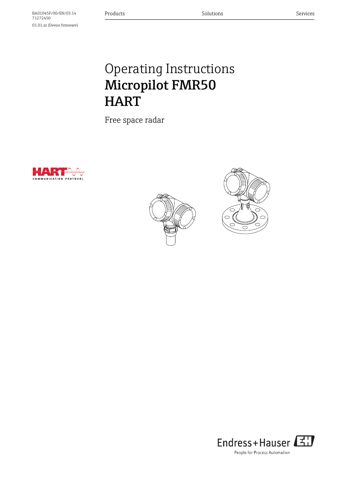 Endress+Hauser BA01045F – Drawing (2d37caebeef2_S1-1 S. 1)