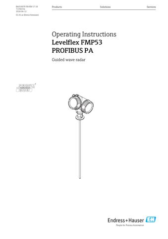 Endress+Hauser BA01007F – Drawing (a16ab14c3cc4_S1-1 S. 1)