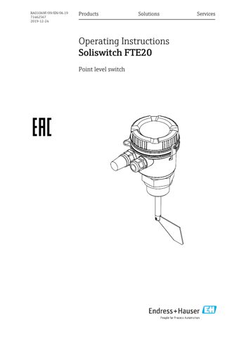 Endress+Hauser BA01069F – Drawing (ff2f9e87e515_S1-1 S. 1)