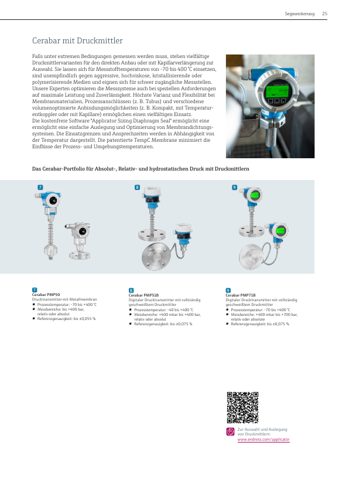 Endress+Hauser Deltapilot FMB50 – Page preview (0cdc48d6a56e_S13-26 S. 13)