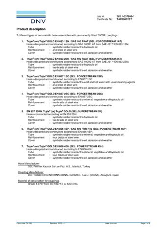 DISTRIBUIDORA INTERNACIONAL CARMEN, S.A.U. (DICSA) SAE 100 R1AT – Page preview (bbd28f662c5e_S1-2 S. 2)