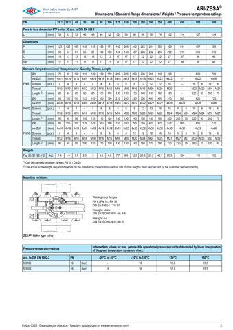 ARI Armaturen DN 250-300 – Drawing (e1de84cc518b_S2-4 S. 2)