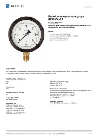 AFRISO RF100GLYSR – Page preview (5298e8511de3_S1-3 S. 1)