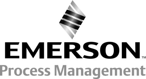 Emerson D103991X012 – Photo (5545ceecd90f_S1-1 S. 1)