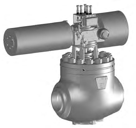 Emerson D103565X012 – Photo (7bf72c156602_S1-32 S. 1)