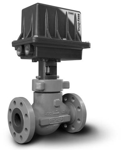 emerson D103597X012 – Zdjęcie (d462200f87b2_S1-1 S. 1)
