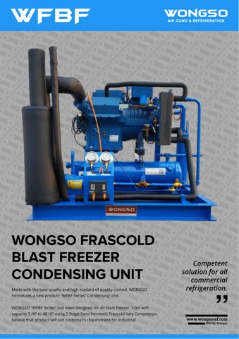Frascold S7-27.19Y – Rysunek (094afad4dfa1_S1-1 S. 1)