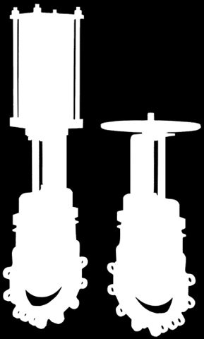 emerson Figure – Photo (70552fd11f3e_S1-3 S. 1)