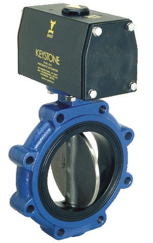 emerson Figure – Photo (b4acccbfcaff_S1-1 S. 1)