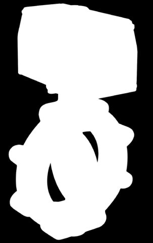 emerson Figure – Photo (b4acccbfcaff_S1-1 S. 1)