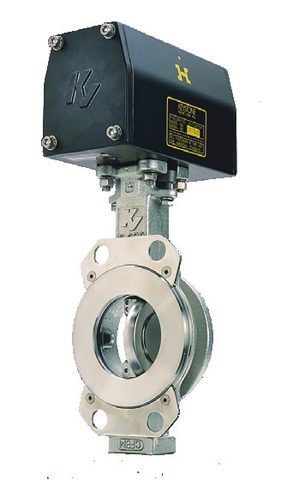emerson Figure – Photo (4f92e9767e70_S1-1 S. 1)