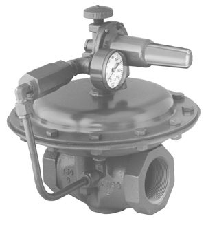 emerson D100347X012 – Photo (d59e366c2c46_S1-1 S. 1)