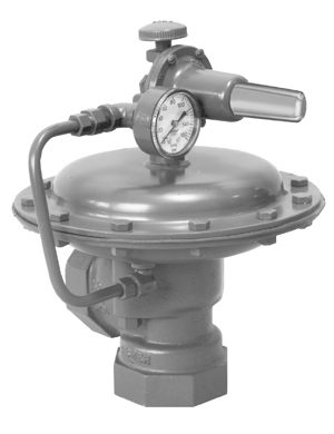 emerson D100347X012 – Photo (d59e366c2c46_S1-1 S. 1)
