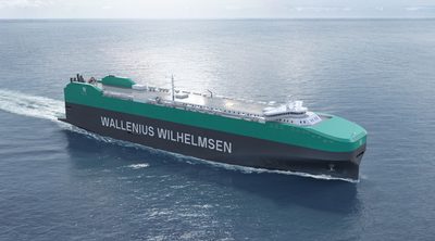 Wilhelmsen Ships Service Wilhelmsen DCP 25kg