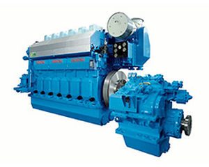 Anqing CSSC Diesel Engine Co., Ltd. 6DE(M)-23(F)(L)