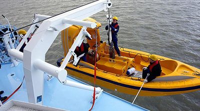 d-i davit international-hische GmbH D-NP. 50
07.17.07