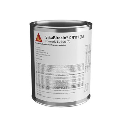 Sika Deutschland GmbH SikaBiresin® CR81 / CH81-6