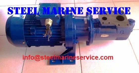 Naniwa Pump FDDV-100