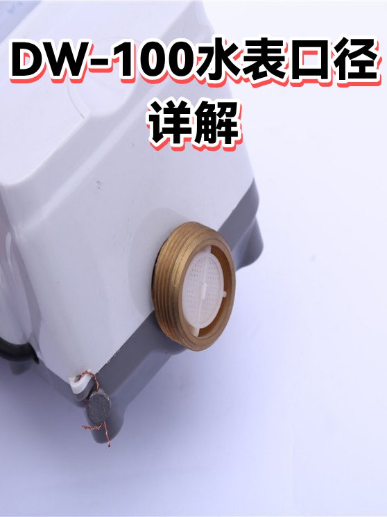 Kobe Steel, Ltd. Ibaraki Plant DW-100 / C1 / FB-B3