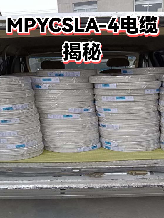 Walsin Lihwa Corporation, Xinzhuang Plant MPYC, MPYCSLA, MPYC-S, FA-MPYC, FA-MPYCSLA, FA-MPYC-S