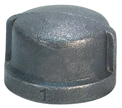 SCI 3124 Cap
