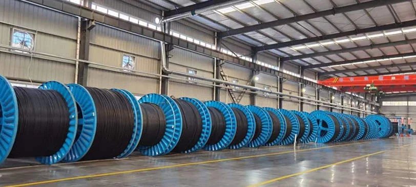 Sindutch Cable Manufacturer Sdn. Bhd. TXOI