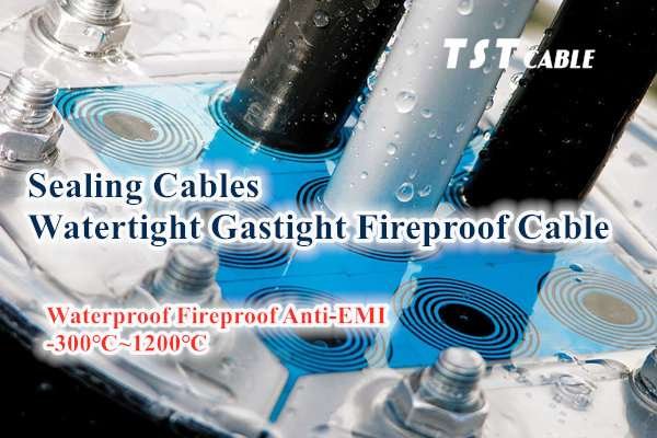 Jingjiang Jinzhou Marine Equipment JZ-UDMT Cable Transits