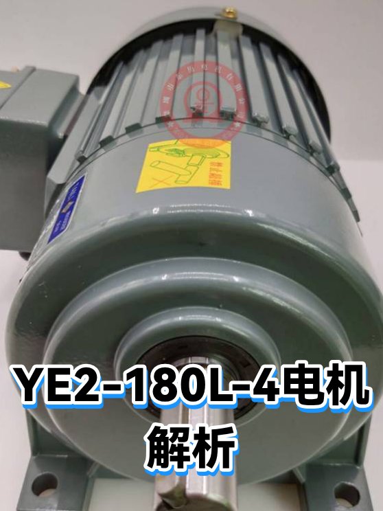 BEVI ELECTRIC SHANGHAI 3D 180 L-4 IE2