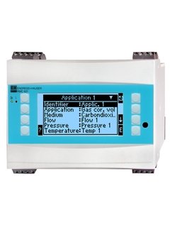 Endress+Hauser RMx621