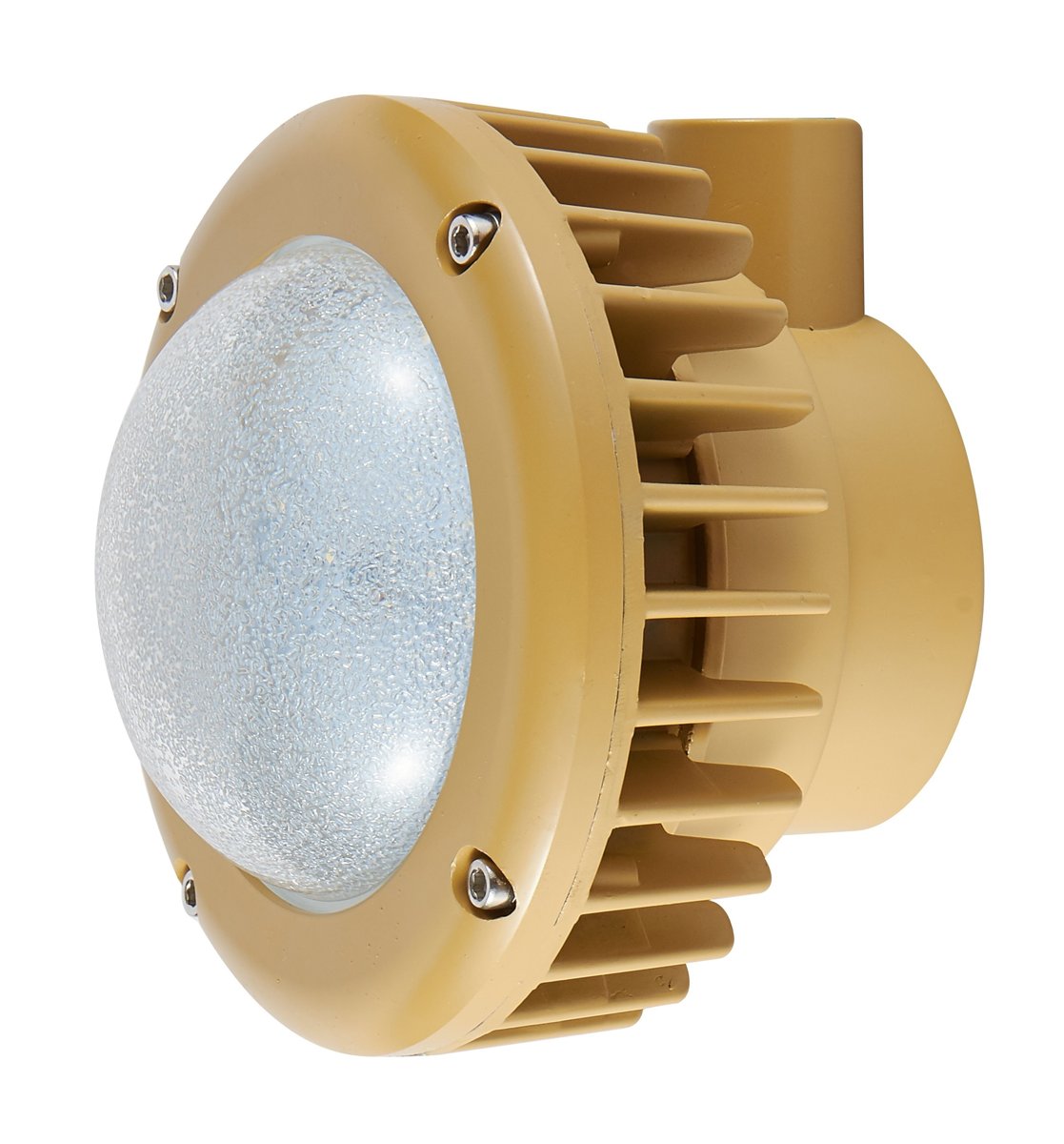 Pauluhn/Crouse-Hinds A55 LED 60W IP66 5000K