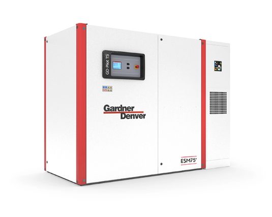 Gardner Denver ESM 30-132 / VS 30-132