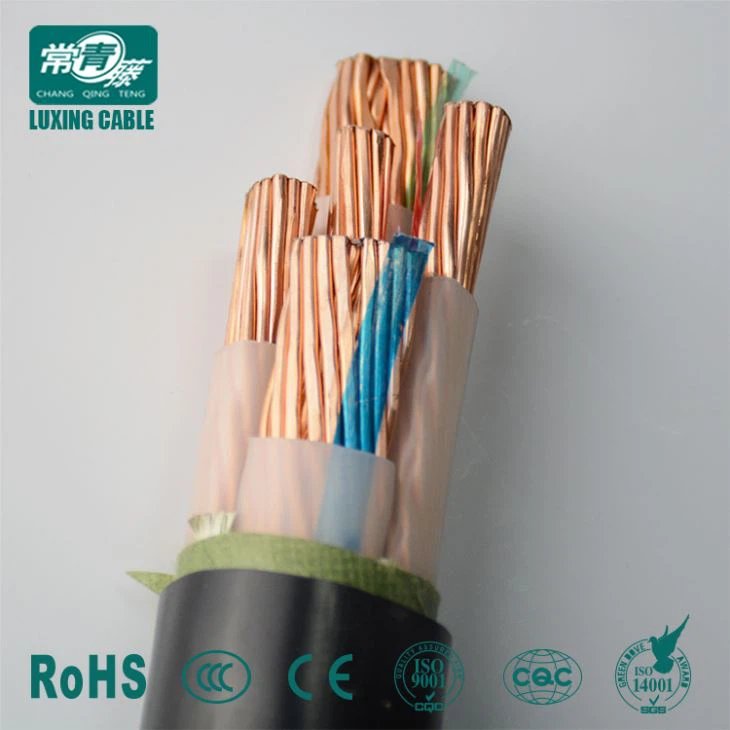 LS Cable DPYC 4Cx10mm2 0.6/1kV SWA
