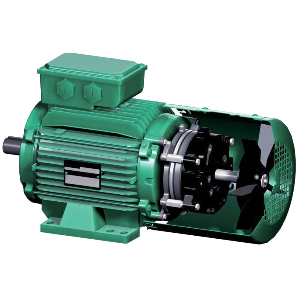Leroy-Somer LSES 100 L FFB 2