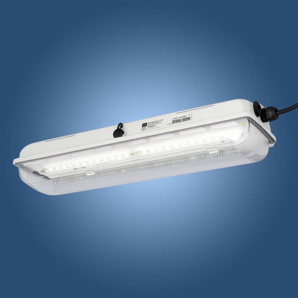 R. STAHL Schaltgeräte Compact Luminaire with LED 6102/. and 6109/.