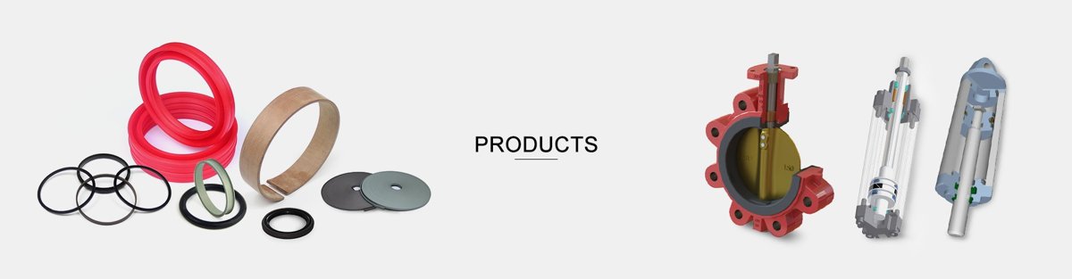 Douwo Sealing Technology (Guangdong) DR