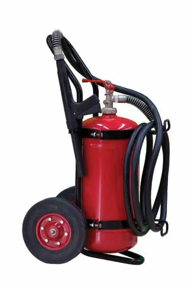 Wilhelmsen DCP Trolley 100kg-C